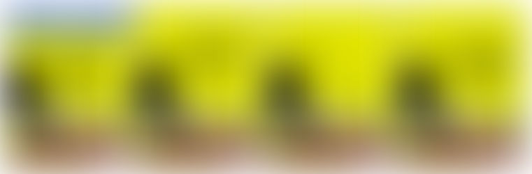 Veni, Vidi, Redii – Fanny I - Reload