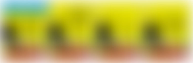 Veni, Vidi, Redii - Fanny XII Reload