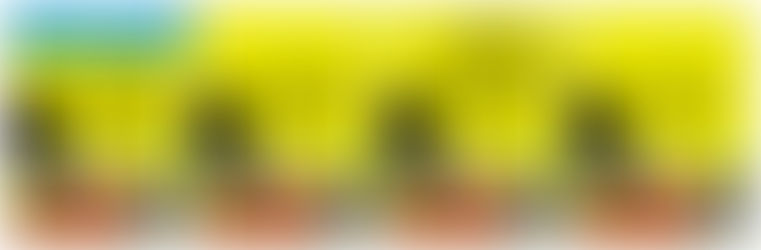 Veni, Vidi, Redii - Berard XIV