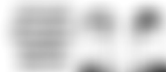 Mortimer & Salomon Agenzia funebre Happy Days