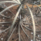 a rose-quartz merkabah at the heart of a torus and a decorated tin table.