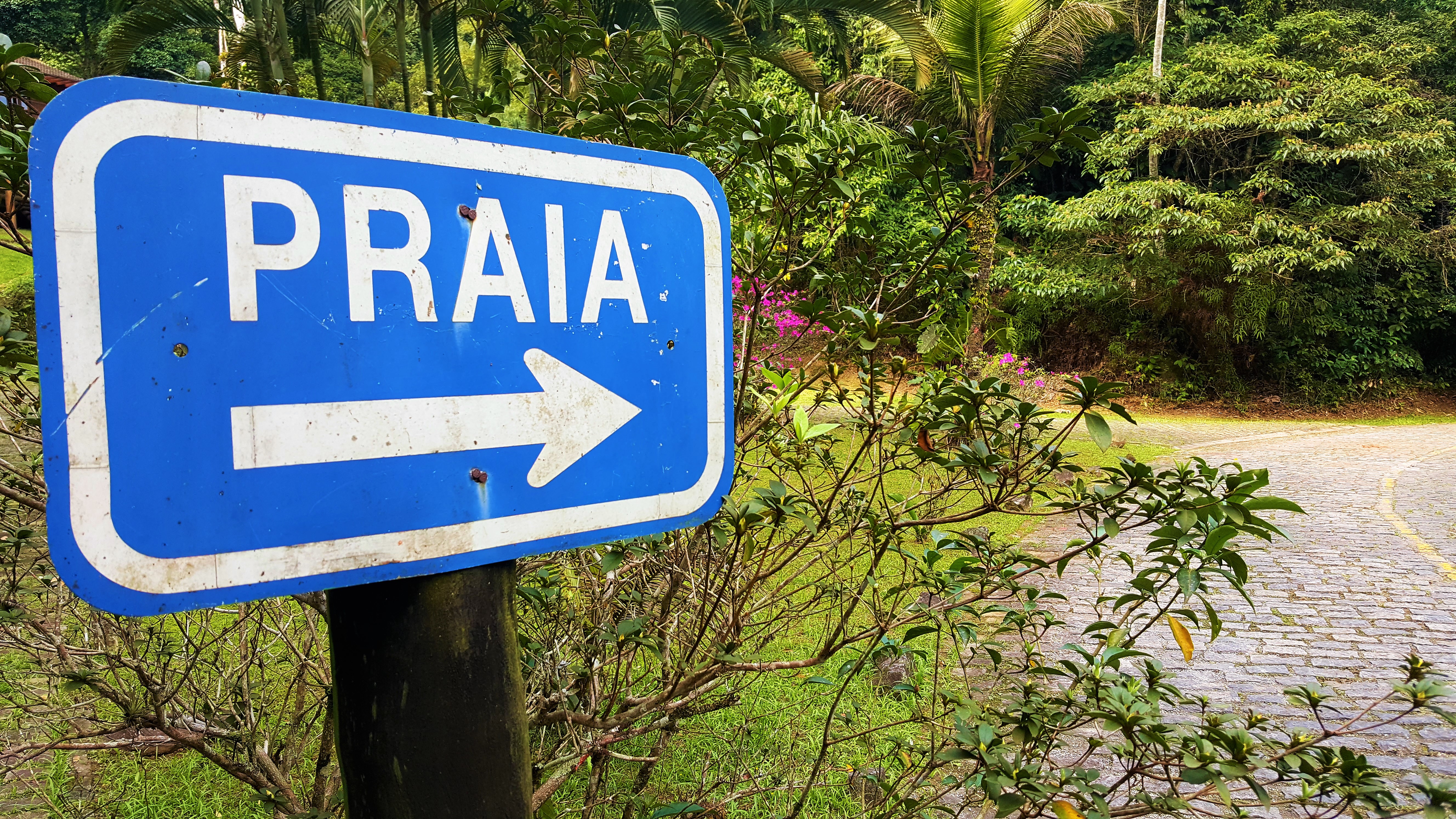 Onde fica e como chegar na Praia de Taguaíba no Condomínio Taguaíba em Guarujá? content media