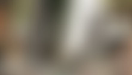 God Forgets Itself to Remember