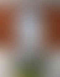 Fashion flat lay, top-down, bird's-eye view product photography with clean lighting and brand-consistent styling. Created for online and marketing use.