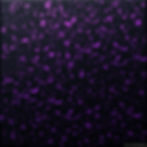 Black with purple flake epoxy background pruple scattere.jpg