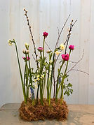 IMG_5281.jpeg