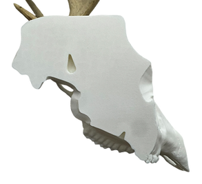 European Deer Buck Skull Mount Reproduction Antlers