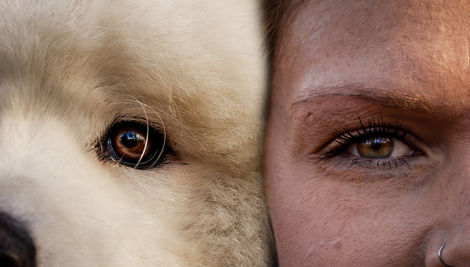 yeux d'une femme et son chien