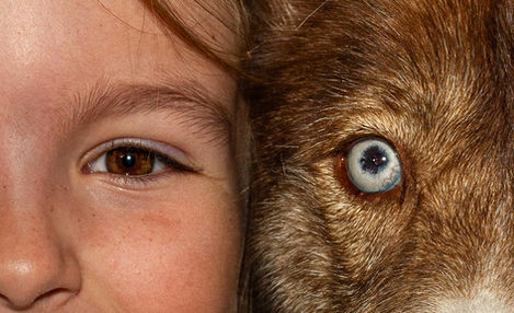 yeux d'un enfant avec son chien