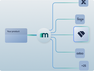 Holded API Integration with Maesn