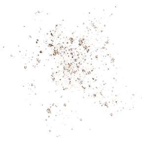 image-from-rawpixel-id-2443596-png (3).p