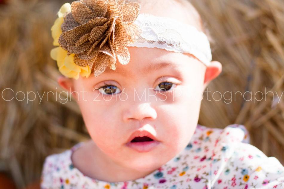 Pumpkin Patch Cuteness