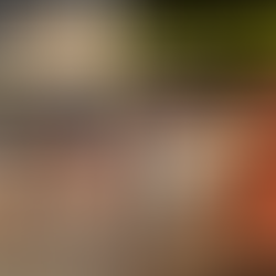 Espetáculos em Cartaz: "O Auto da Compadecida" e "O Boi e o Burro no Caminho de Belém"