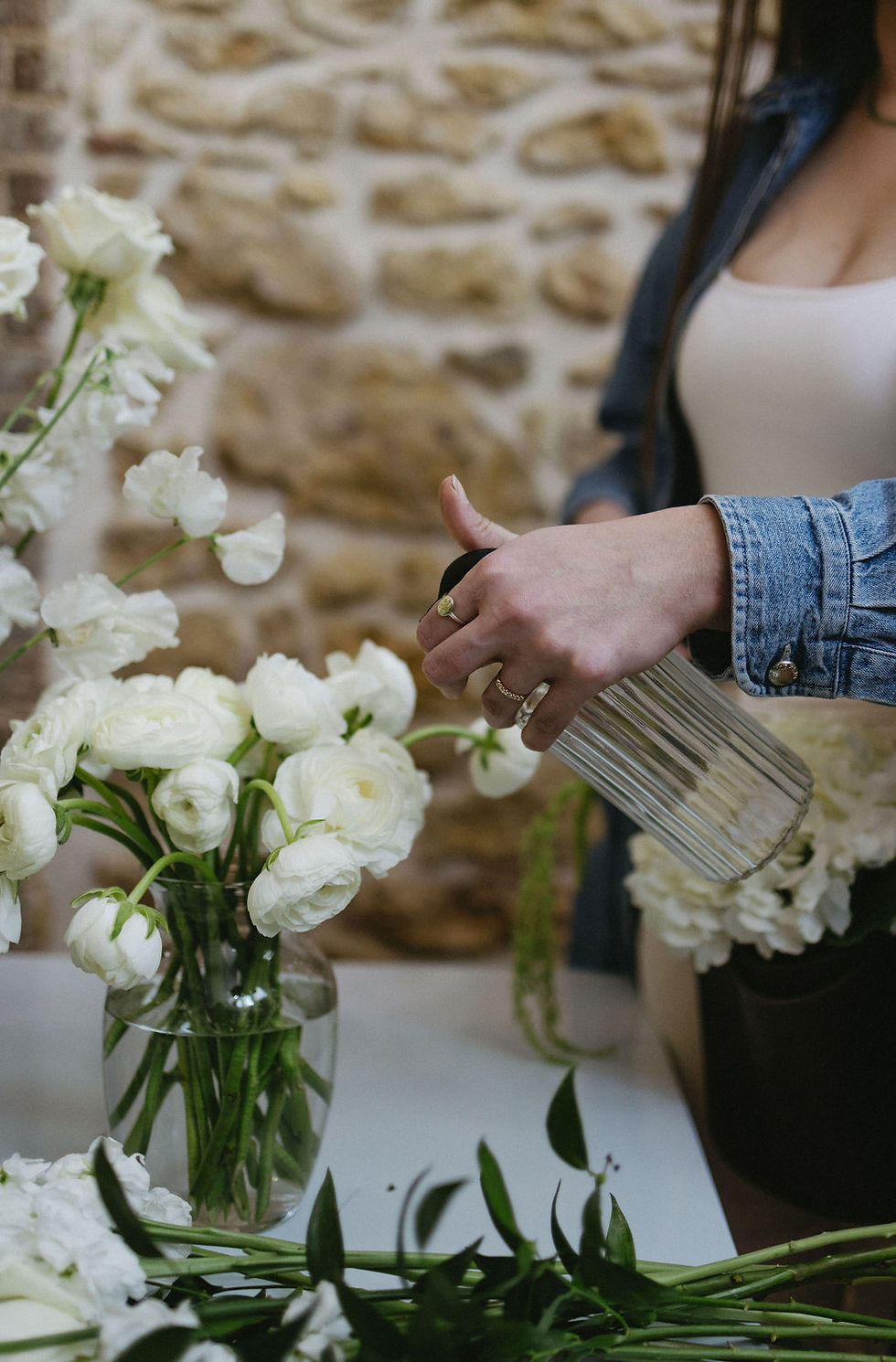 WERNER+CO Subscription Info