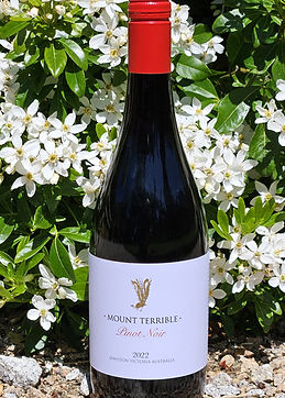 10 Pinot 2022.jpg