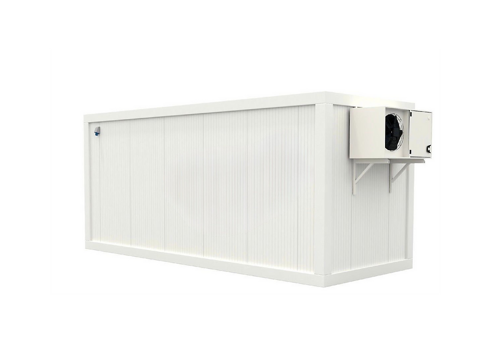 Thumbnail: Complete Refrigerated Container, 6 × 2.40 × 2.50 m, Plug-In, 0 to +4°C