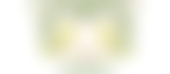 11月7日は