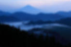 forest-image-2.jpg