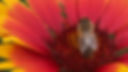 unnamed (7)_edited.jpg