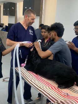 WhatsApp Image 2024-09-18 at 3.38.25 PM (3)