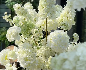 White wedding centerpiece with hydrangeas in Williamsburg wedding reception