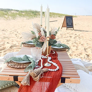 Picnic on the beach in Virginia Beach Luxury picnic Romantic Picnic