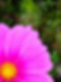 IMG_20190918_162404967-EFFECTS_edited.jpg