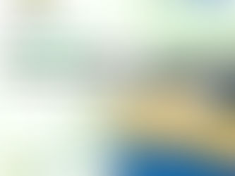 Third Party Manufacturers