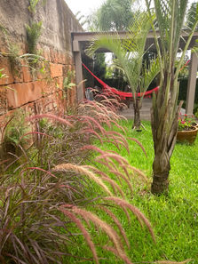 O estilo roxo que atraem olhares apaixonantes!!