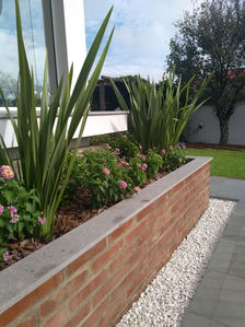 A dupla queridinha do jardim!