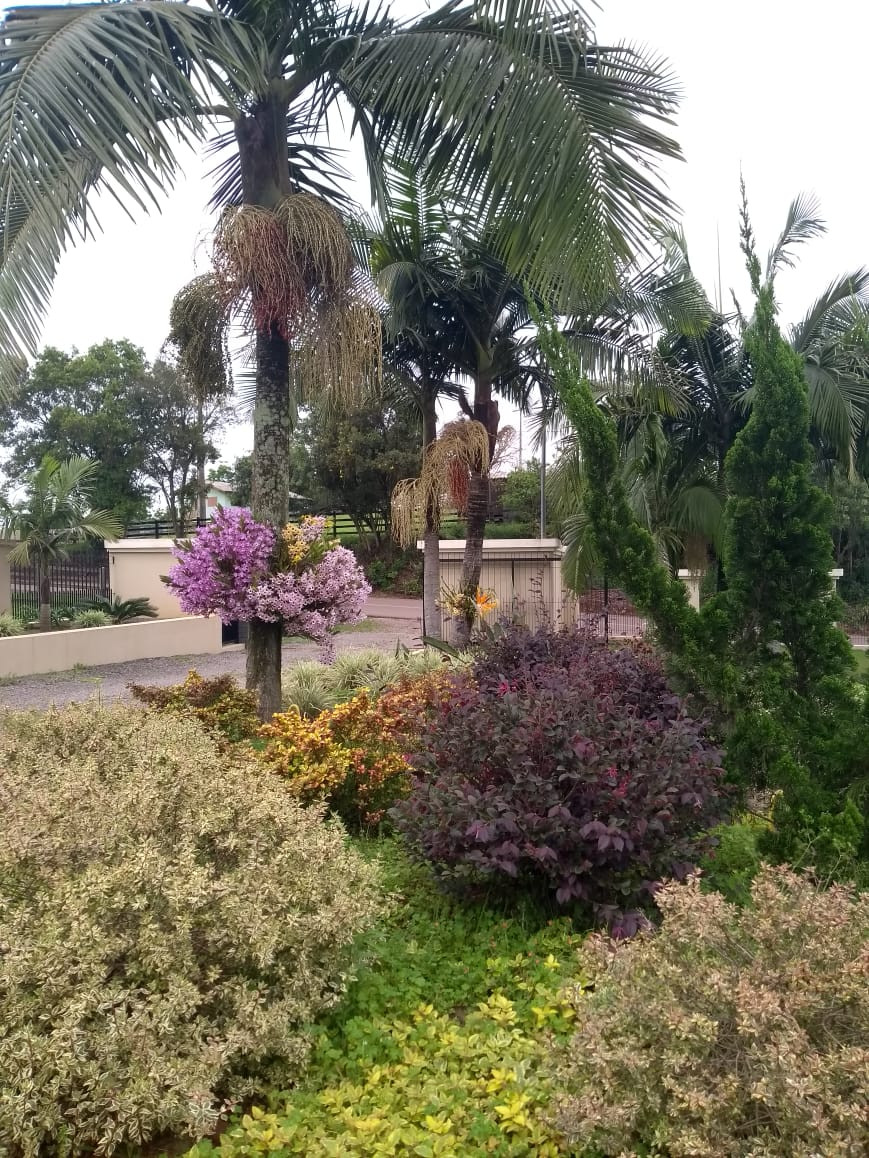 paisagismo