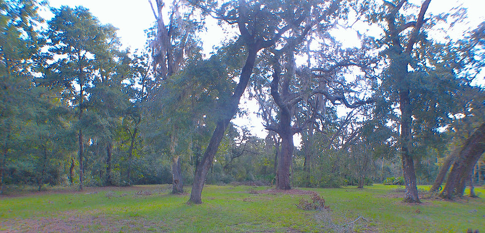 Our Front Yard at Sunday Bluff