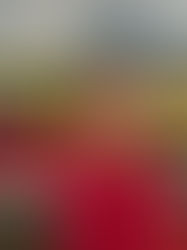 Where Are They Now: Karen Ramos