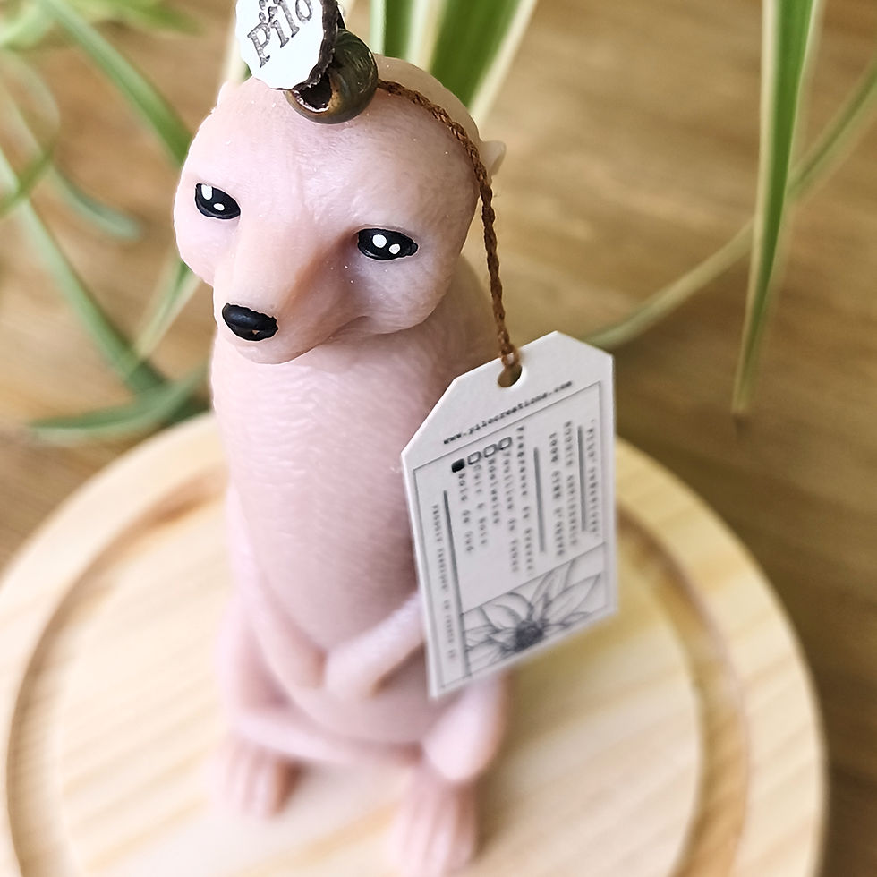Miniature : Gardien de l'AUBE