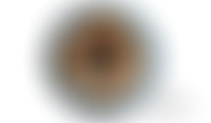 Everything You Need to Know about Professional Corporate Portrait Photography