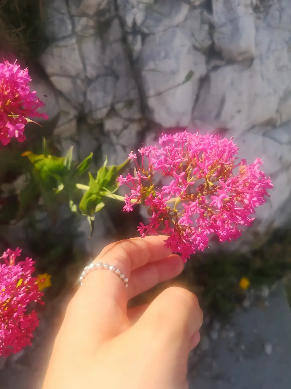 Miniature : Bague boule