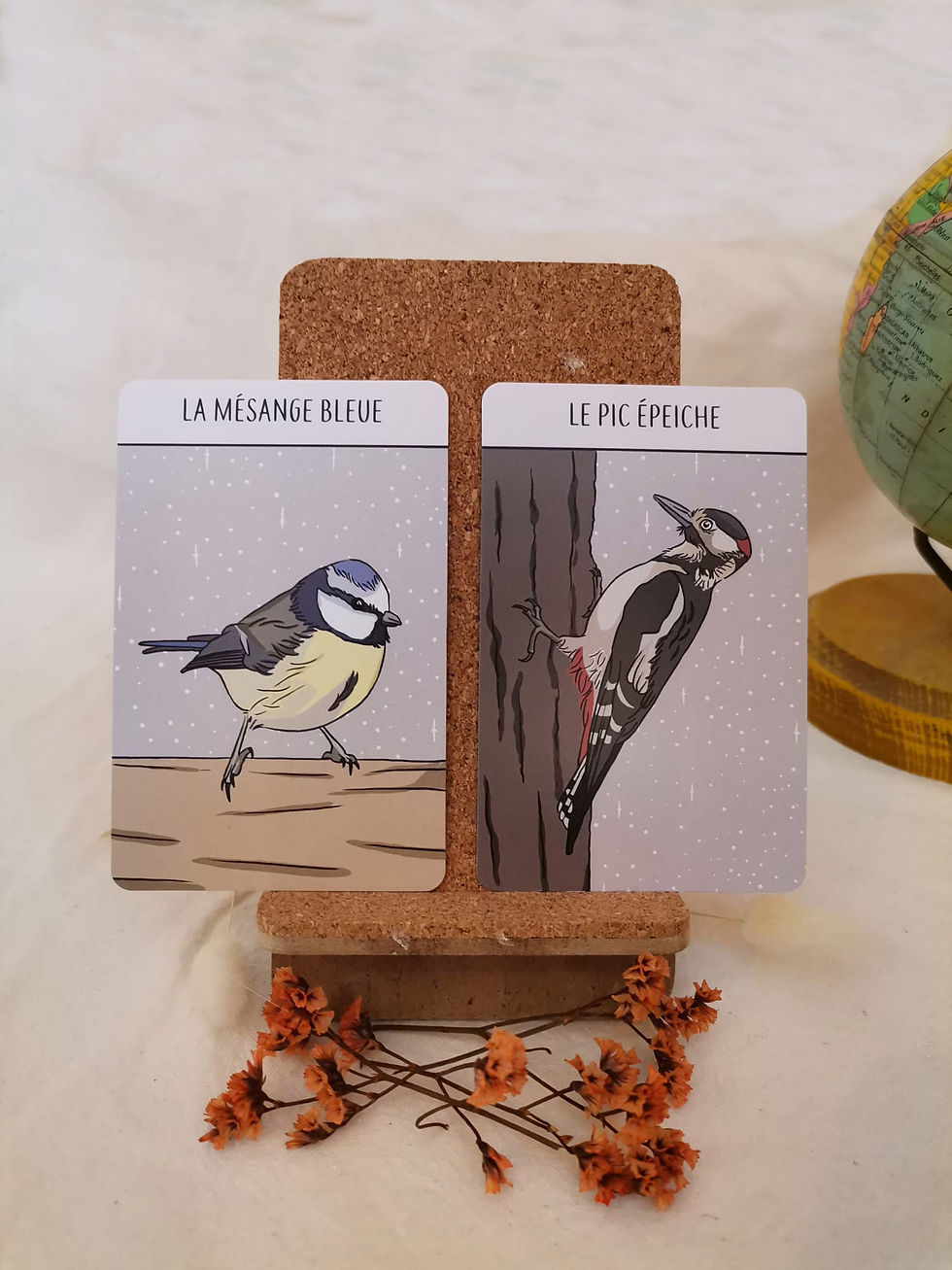 Miniature : Jeu de mémoire des oiseaux