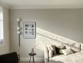 What North Light Does to a Room That No Other Direction Can