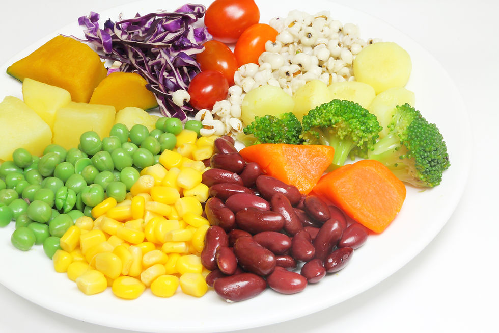 Gut Health 101: How Your Microbiome Controls Energy, Mood & Immunity