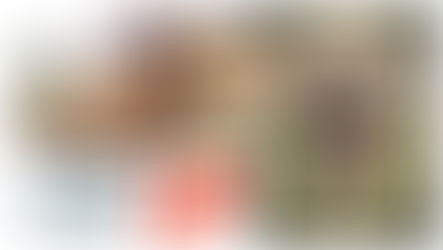 Le concours du 17 décembre