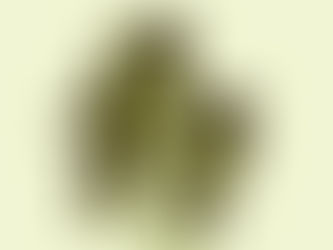 Le Détective détraqué ou les mésaventures de Sherlock Holmes