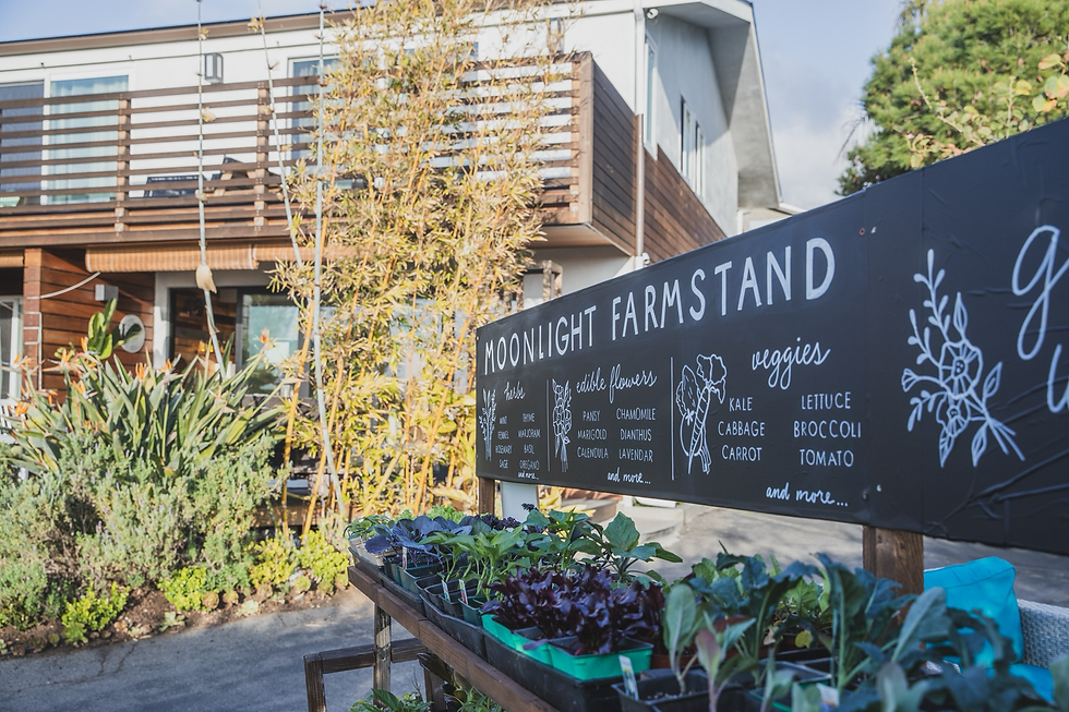 Plants on a wooden stand by a sign reading "Moonlight Farmstand" listing herbs, edible flowers, and veggies. A modern house is in the background.