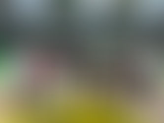 Prefeitura de Rodrigues Alves realiza grandes finais do Campeonato Municipal de Futsal