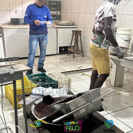 Fiscalização Garante Segurança Alimentar no Comércio de Açaí em Feijó