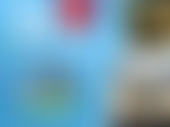 28 de dezembro: Aniversário de Rio Branco