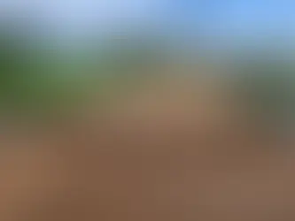 Porto Acre intensifica construção de pontes e serviços de açudagem na zona rural