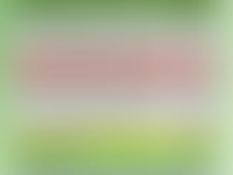 Boletim Covid-19 atualizado, 29 de junho de 2020