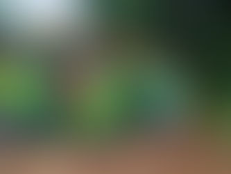 Prefeitura de Brasiléia realiza mutirão de Limpeza na Agrovila Quixadá