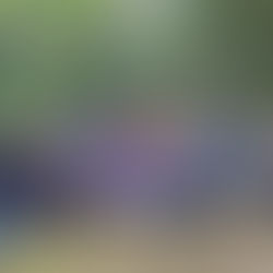 Saúde itinerante é realizada na comunidade do Alto Antimary, na 'Colocação do Sr. Abel'