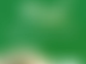 07 de setembro: Dia da Independência do Brasil